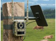 Camovue Talon Pro by Reolink 4G