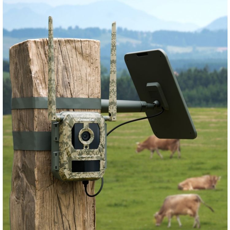 4G riistakamera Camovue Talon Pro - Reolink Camovue Talon Pro by Reolink 4G